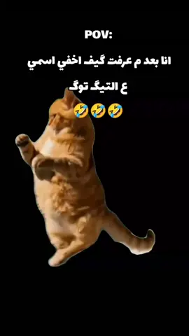😂😂😂