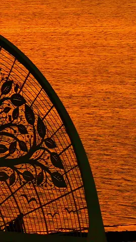 #生命之樹 #夕陽#將軍 #臺南 