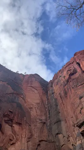 It actually feels kinda nice to feel how small we really are  compared to other things  #fyp #zion #travel 