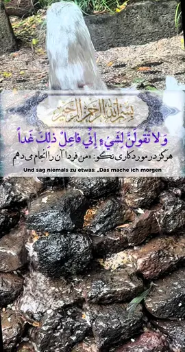 #CapCut #Allah #prayer #loveallah #خدایا_توکل_بر_خودت🤲🏻🤍 
