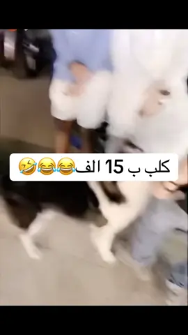 #اكسبلور #لايك #ترند #ضحك #محتوى #الشعب_الصيني_ماله_حل😂😂 #جده #الرياض #السعودية #تفاعل #الكويت #الشرقيه #ابها #نجران 