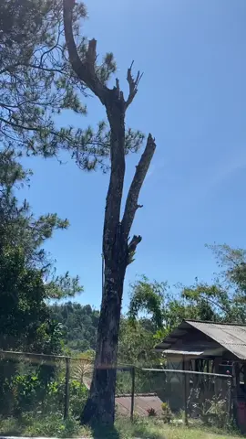 Awawaw🤪#mojokerto24jam #herexmojokerto #herexjatim #fyp #mpburonanhk 