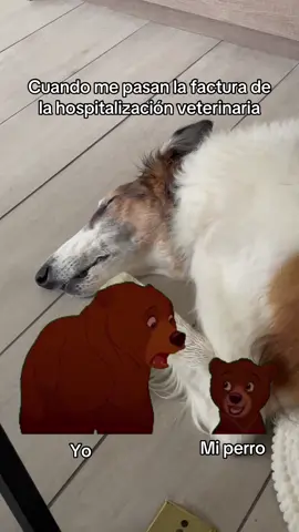 Acabamos de pasar por eso 🫩 #veterinarios #borzoi #veterinaria #perritostiktok 