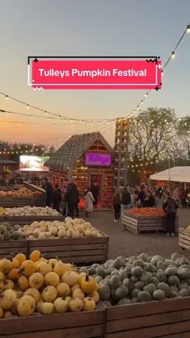 Open until 31st October #uktravel #placestovisitintheuk #daytripidea #ukpumpkinpatches #secretlondon 