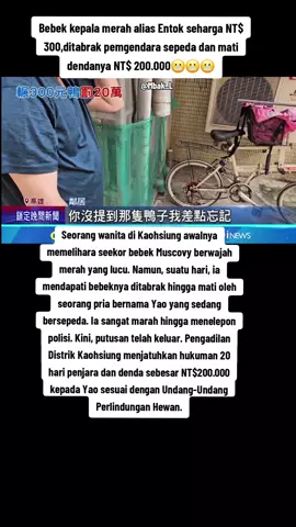 #Taiwan #oh #taiwan🇹🇼 #ceritamu #selalu ADA ADA SAJA