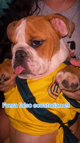 Fuera boboa!! #ecuador #ecuatoriana #paronacionalecuador🇪🇨 #fueranoboa 
