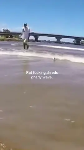 One in a life time discovery  #fypシ #rat #waves #gnarly #hellyea 