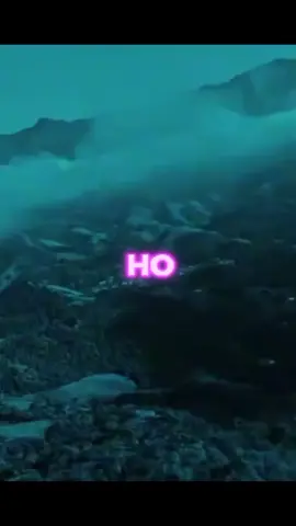 #paratunv🥺💕 #foryoupage❤️❤️♥️❤️‍🔥✨💯😎💙💓❤🥀🥰🥺😇 #dedicalo🥺🙈♥️ #fypppppppppp♥️🥺🥰 #🥰🤭🤗♥️🌸😘🙈 