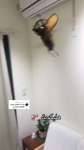 #في هذا اليوم 