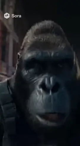 beginning of a plot? #fyp #soraai #goviral #gorilla #xybca 