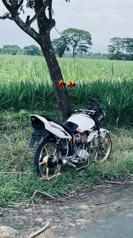 👋    #mpgank #ymtechracing #herexhitz 