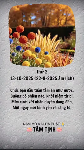 Chúc bạn đầu tuần tâm an như nước, Buông bỏ phiền não, khởi niệm từ bi, Mỉm cười với nhân duyên đang đến, Một ngày mới bình yên và sáng tỏ. #tamtinh #phatgiao #phatphap #phatphapnhiemmau #nammoadidaphat 