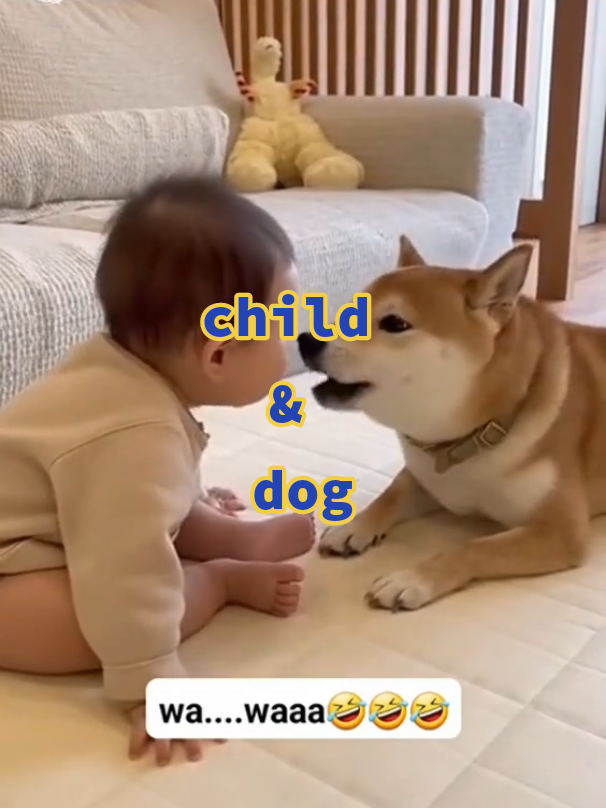 lucunya dialog balita dan dog #lucu  #balitalucu #lucu_ngakak #dog #creatorsearchinsights 