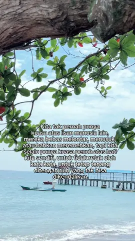 🕊️
