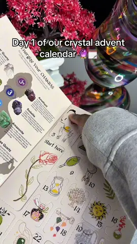 Perfect gift for any crystal lover 😍   #crystaltok #crystalgirl #adventcalendar #crystals #chakra 