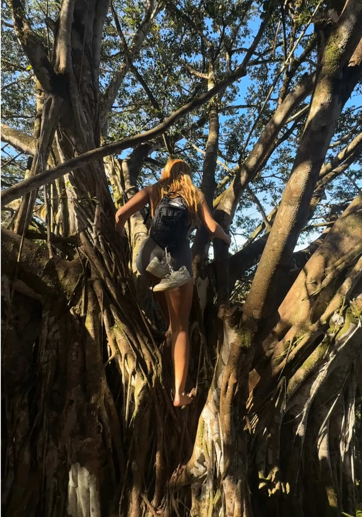 Favorite tree in da world #banyantree 