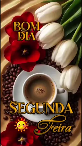 SEMANA ABENÇOADA POR DEUS #Segunda-feira  #bomdia  #cicerasantos 