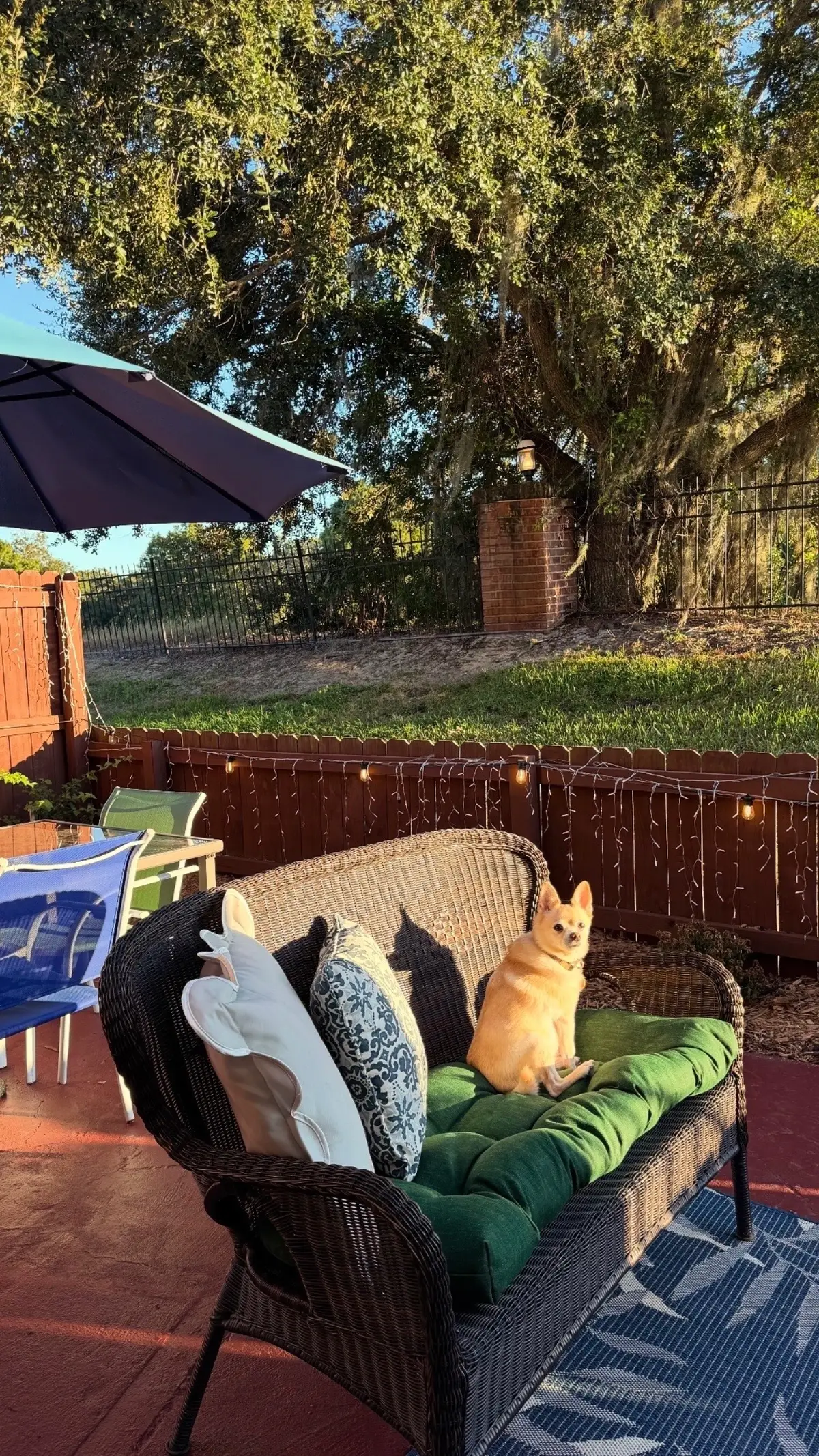 It’s taking us four months, but my patio is finally where I want it to be! I feel so content and so happy and so excited about this chapter in our life! #blessed #florida #sunshine #happy