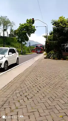 #dalimas #buspariwisata #bojonegoro #fyp 