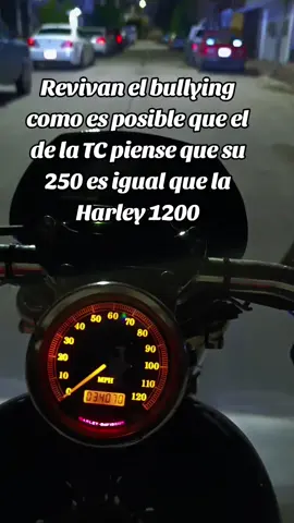 #harleydavidson #purowey