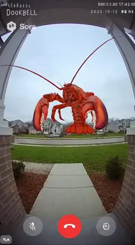 GiantLobster fly #memeviraluniverse #viral #meme #funny #capcut 