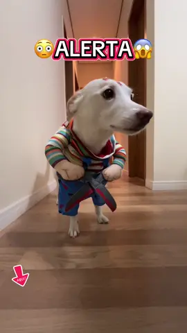 😱😨😰