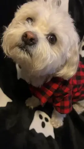 #monster#imgoingdrinking