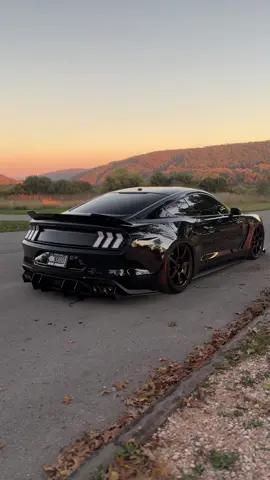 in october 🍂 #fypシ #mustang #carsoftiktok #cars #bagged 