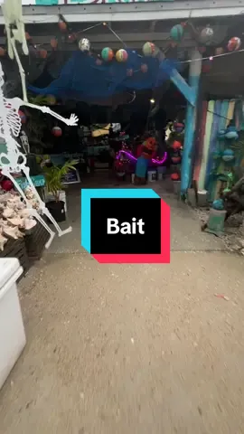 #floridakeys #momlife 