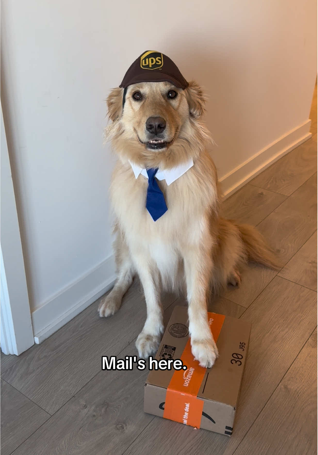 Would you break the rules?? 🤔👀 #dogowner #funny #nerd #dogs 