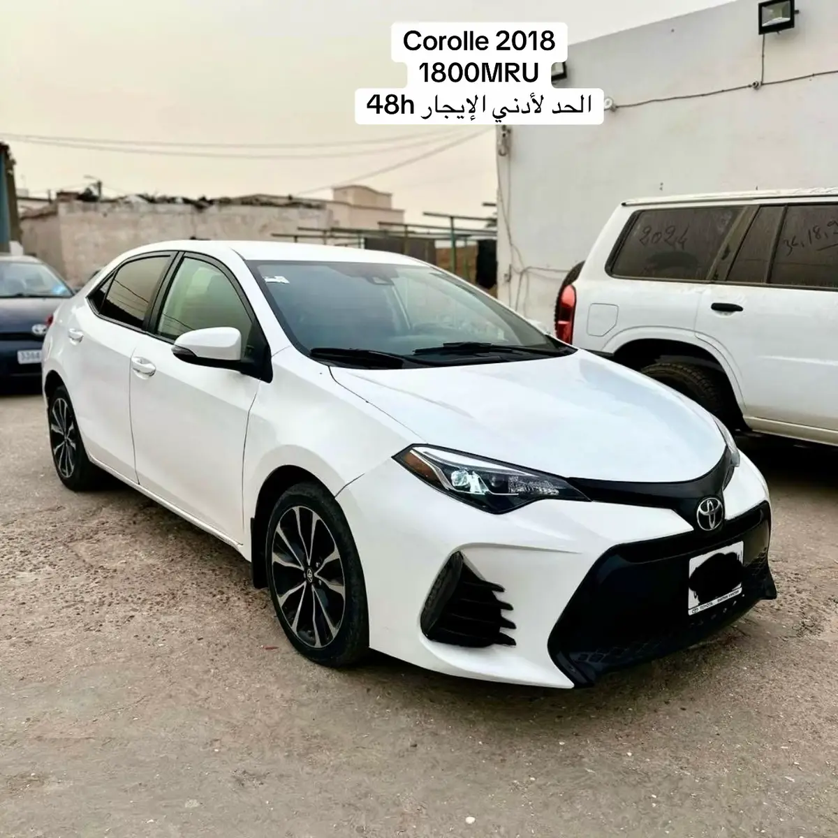 #صلوا_على_رسول_الله #شعب_الصيني_ماله_حل😂😂 #موريتانيا🇲🇷 #تأجير_يومي_اسبوعي_شهري_سنوي 