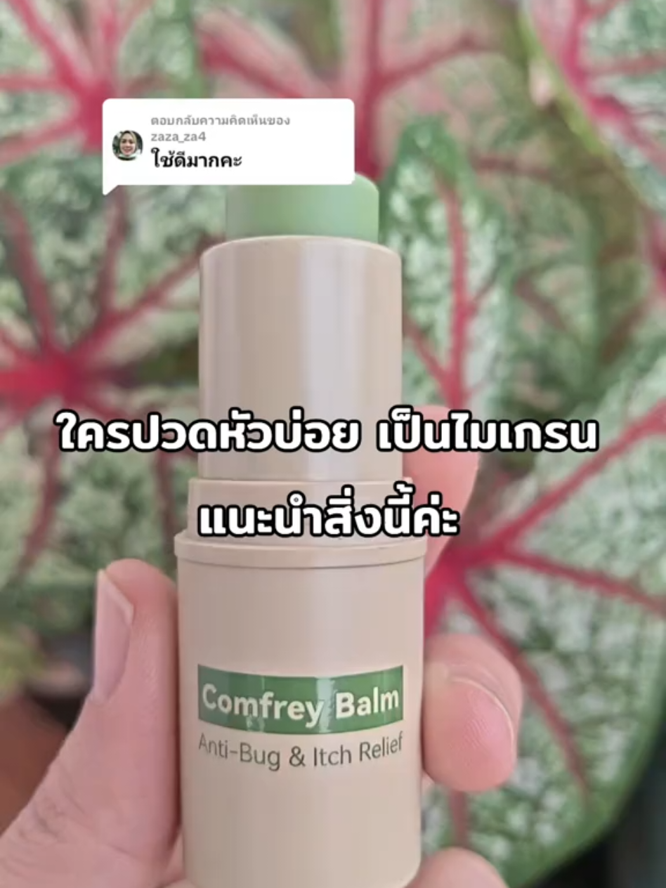 ตอบกลับ @zaza_za4 #บาล์มสมุนไพร #บาล์มอโรม่า #เทอร่าพาเฟ่บาล์มคอมเฟรย์ #บาล์มเขียวลดไมเกรน #ใช้ดมใช้ทาในหลอดเดียวกัน  @เปิ้ล @เปิ้ล @เปิ้ล 