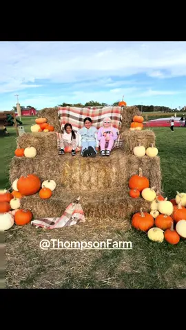 Sunday funday at the @Thompson Farm 