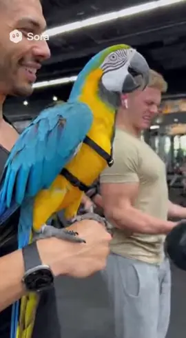 Parrot Roasts Bodybuilder in the Gym 😂 #FunnyParrot #GymComedy #TalkingParrot #ParrotInGym #viralvideo 