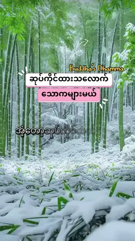 ဆုပ်ကိုင်ထားသလောက်သောကများမယ်#creatorsearchinsights #buddha #တရားတော်များ #ပါချုပ်ဆရာတော်ဘုရားကြီး၏အဆုံးအမ #foryoupage 