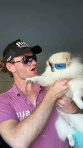 how it feels coming home to my star #demilovato 