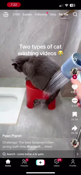 #funny #cat #catwashing #fyp #trending 