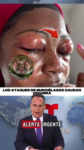 #breakingnews #latinousa #news 