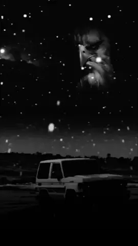 اسود تتوارث شجاعتنا اسود #امين_الجوفي 