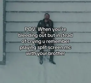 #Minecraft #splitscreen #mc #brother #family 