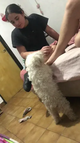 pum pum pum 😝#tiktokponmeenparati #puertorico #fypシ゚ 