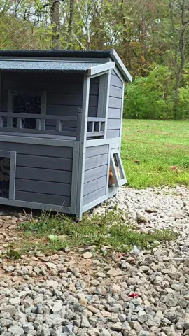 @Aivituvin #cathouse #bunnyhouse #heatedcathouse #outdoorcathouse #tiktokshopblackfriday 