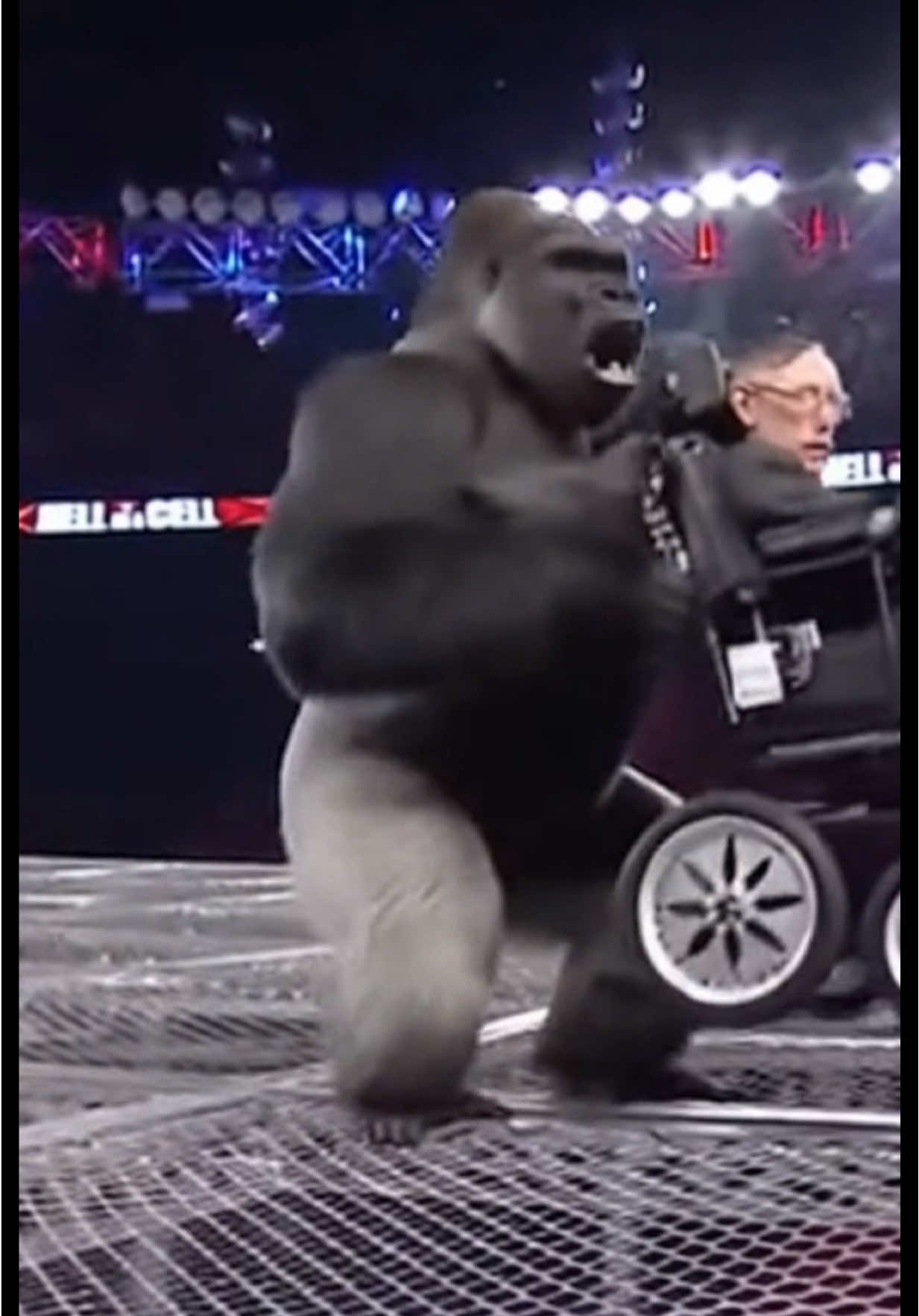 Harambe vs Hawking is the most insane hell in a cell match we've ever seen. #Harambe #StephenHawking #StephenHawkingWrestling #StephenHawkingWWE #FYP 
