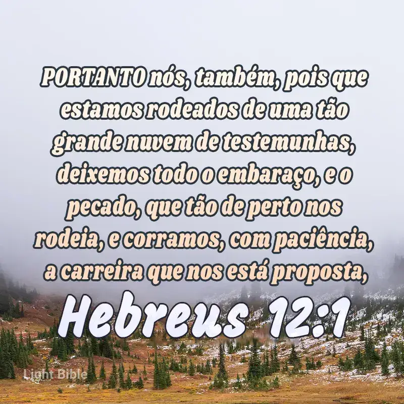 Querido Senhor, damos graças pela Tua palavra. Tu nos forneceste com muitos testemunhos que iluminam as obstruções que podem nos vir ao encontro. Viveremos seguindo o exemplo deles e terminaremos a corrida em Ti. Em nome de Jesus, amém. #Deus #jesus #fyyyyyyyyyyyyy #gratidao #fe 
