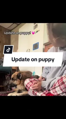 He’s doing his absolute best and I’m so proud of him and very happy to finally have him home ❤️ thank you to everyone that tried boosting my last posts. Thank you for all the prayers 💓💓 #fyp #animals #gofundme #boostofhope #braincancerawareness  