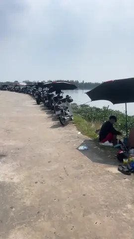 Xin những cánh tay của ae hôm qua ngồi ở cầu sim ạ 😂😂#fishing #câucátựnhiên 