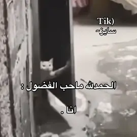#رياكشن #fyp #شعب_الصيني_ماله_حل😂😂 