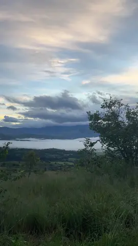 Kalo carranglan nueva ecija🩷🩷