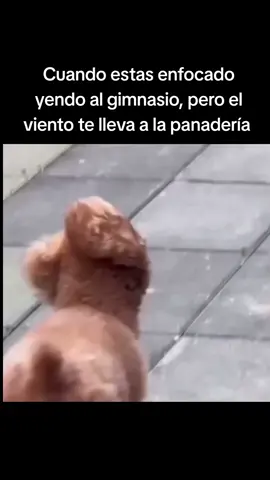 #jajaja 