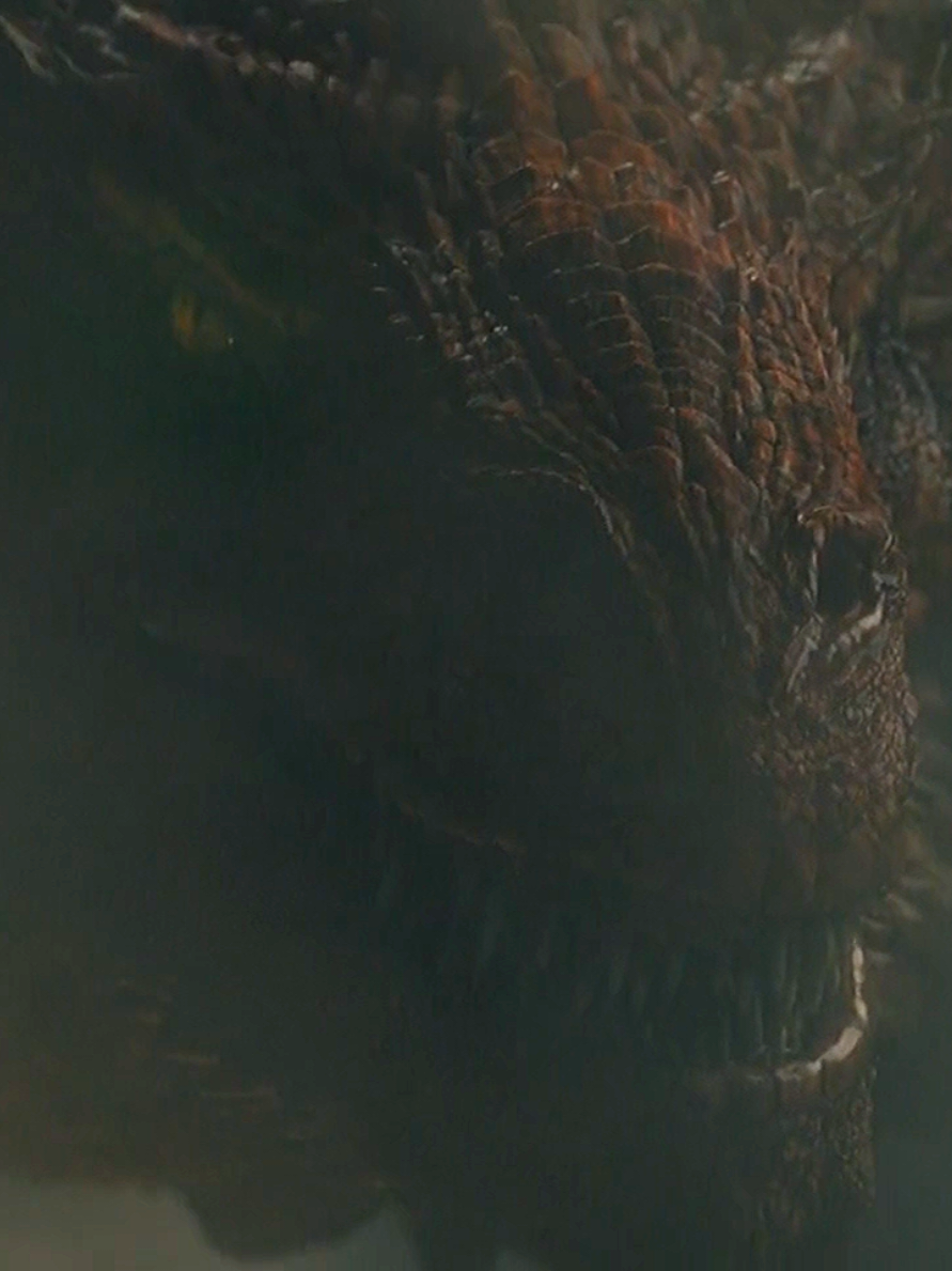 House of the Dragon ⚔️👑. El asalto a Pozo Dragón dejo como consecuencia tres dragones muertos y miles de personas. #houseofthedragon #houseofthedragon #lacasadeldragón #viraltiktok #hbomax 